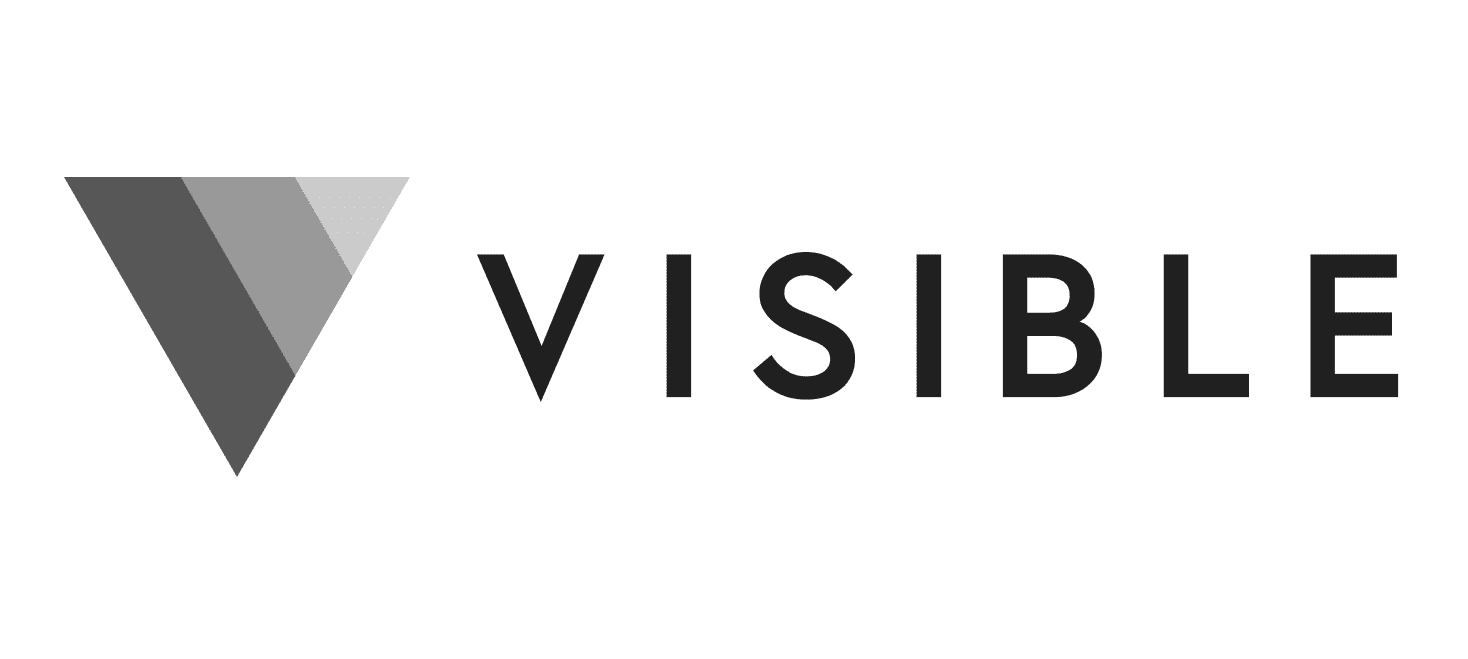 Visible Logo